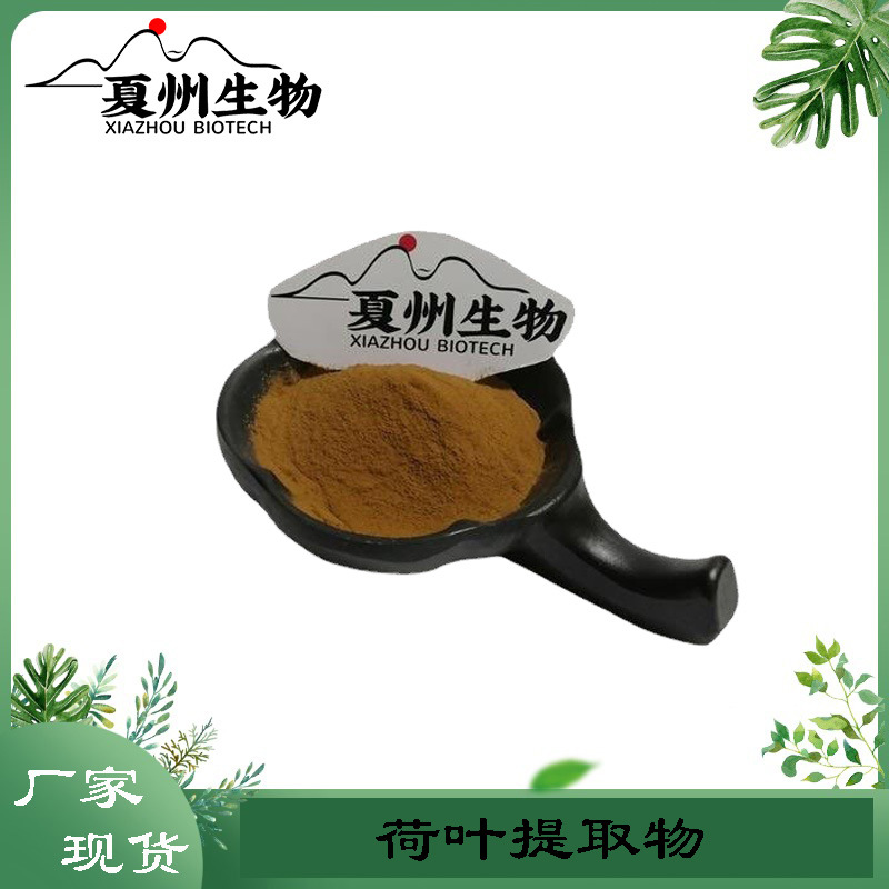 荷叶提取物 10/20/30/50:1 水溶性荷叶粉   夏州生物优质供应kg装