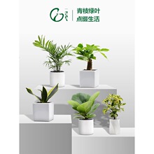 һ������Gֲ�������򻨻�С���Կ͏d�k���҃��辰�ļ������[��