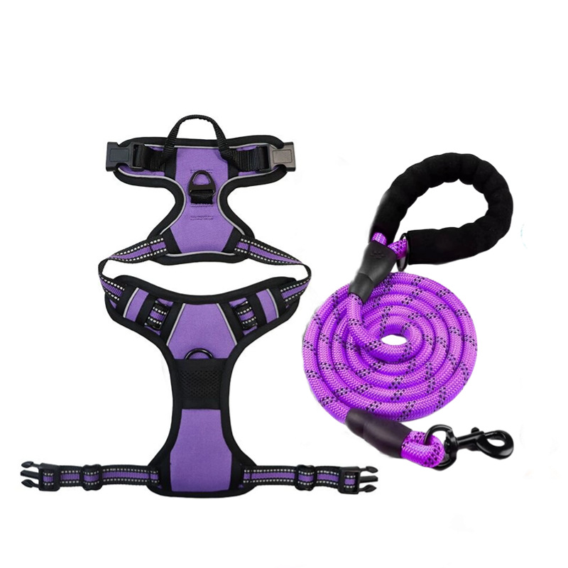 Purple [strap + traction rope] set