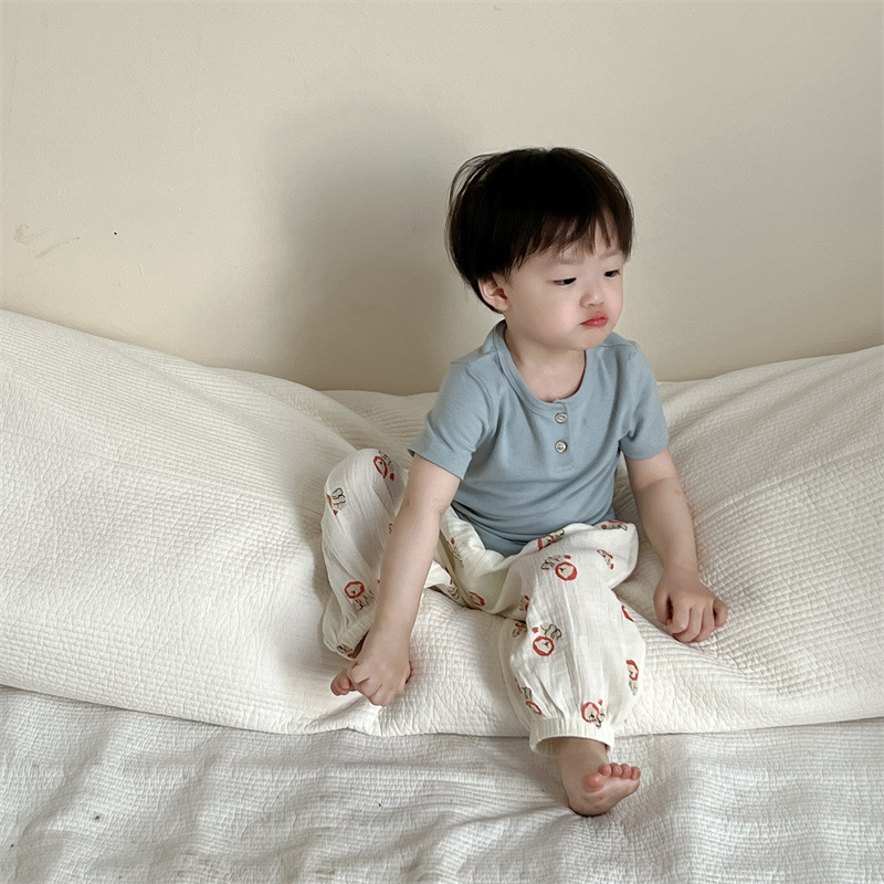 Ropa de verano para niños delgados pantalones anti-mosquitos set coreano ropa infantil mangas cortas camiseta pantalones dos sets image 1