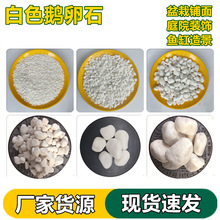 批发白石子园林铺路鹅卵石多肉铺面鱼缸造景6-9mm白卵石水洗石