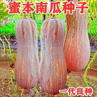 �۱��ϹϷN�ӳ�������ܱ��ϹϷN�������ϹϷN������߮a�ļ����N