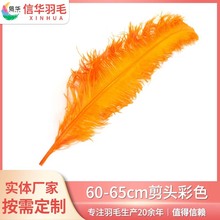 厂家直销鸵60-65cm修头彩色鸵鸟羽毛灯饰婚庆路引装饰拍照道具花