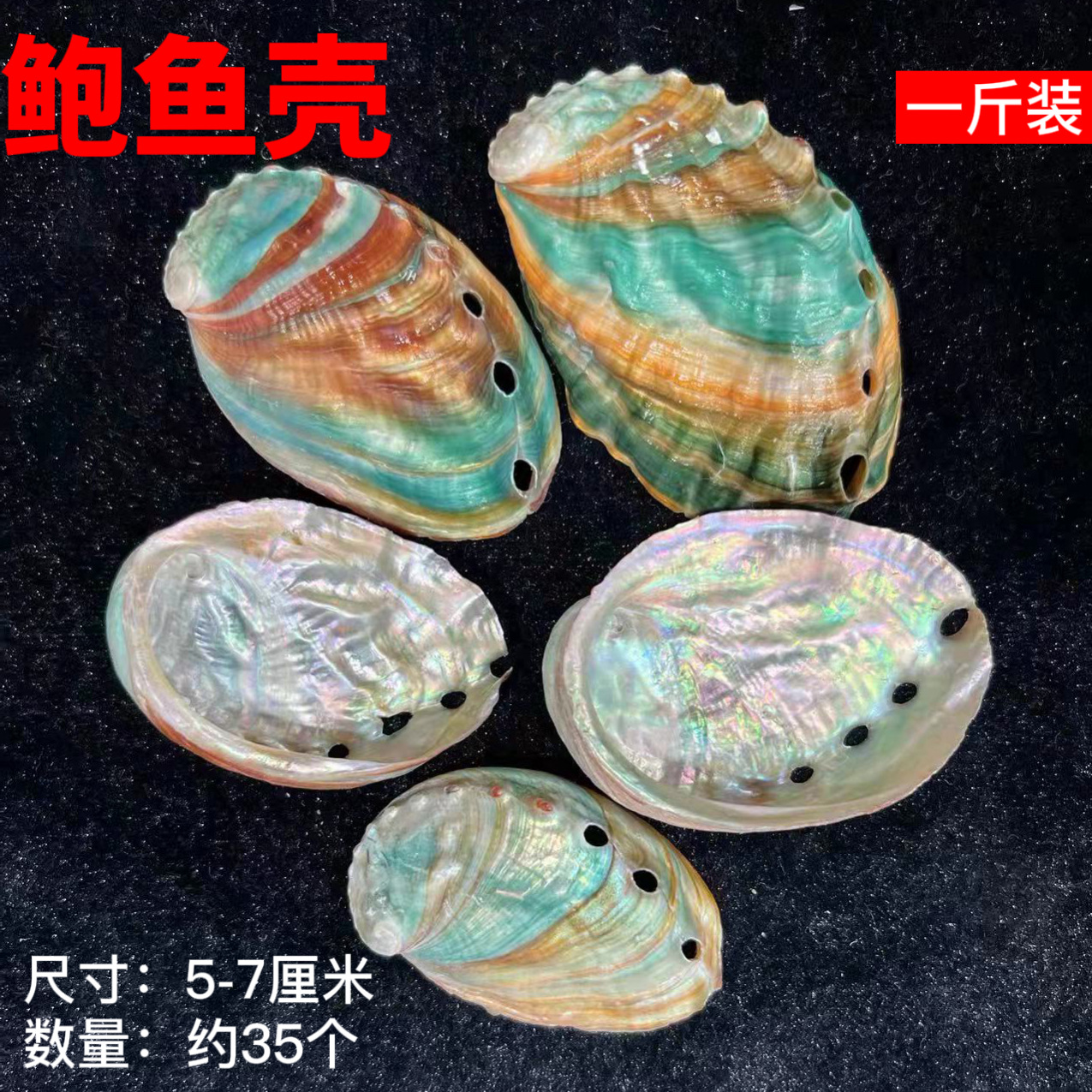 微信图片_20220311171718