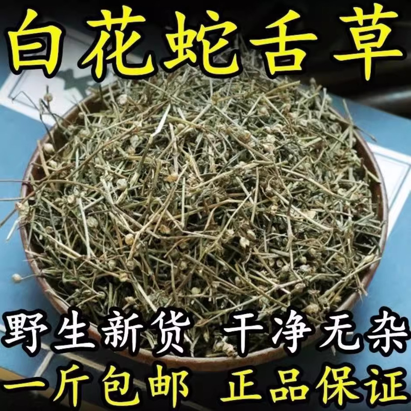 野生の白花蛇舌草 漢方薬 百花蛇舌草 白花蛇舌草 送料無料 別売りのスイカズラ バルク|undefined