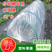 跨境塑料膜菜地专用加厚抗老化保温膜防寒抗冻温室蔬菜大棚专用膜