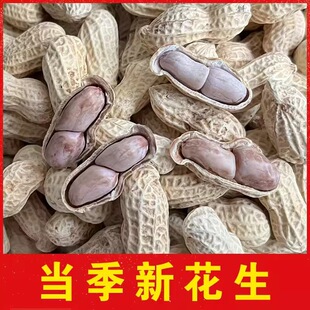 �������һ���ˮ��ו�����㻨�������»������ִ�׷�����Sֱ�l