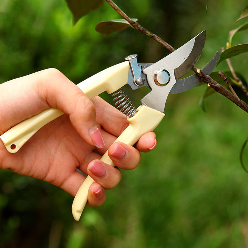 Stainless Steel Flower Shears Pruning Shears Branch Scissors Gardening Scissors Rough Shears Garden Shears Fruit Tree Shears Hardware Tools
