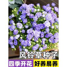 �����L⏻��N���ļ����N�_�����������̨ͥԺ���Ի��ܻ��N������