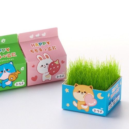 Children's DIY green plant cutting grass green plant small potted hydroponic bonsai desktop mini planting student grass potted plant