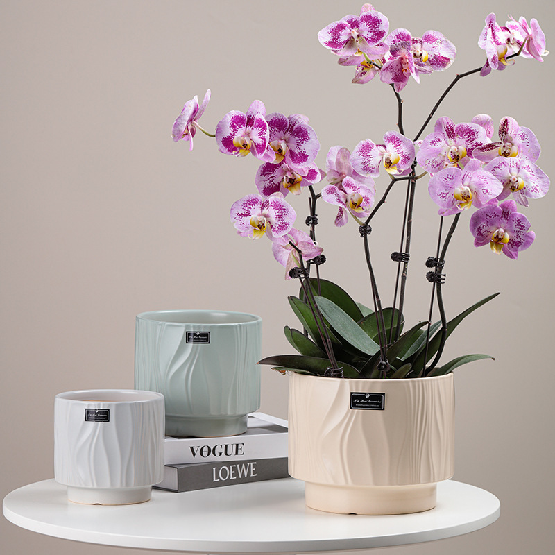 Solid Color Large-Diameter Flower Pot with a Light Luxury and High-End Feel, Specifically for Home Use, Orchid Pot, Phalaenopsis Orchid Pot, Ceramic Plant Container Solid Color Large-Diameter Flower Pot with a Light Luxury and High-End Feel, Specifically for Home Use, Orchid Pot, Phalaenopsis Orchid Pot, Ceramic Plant Container