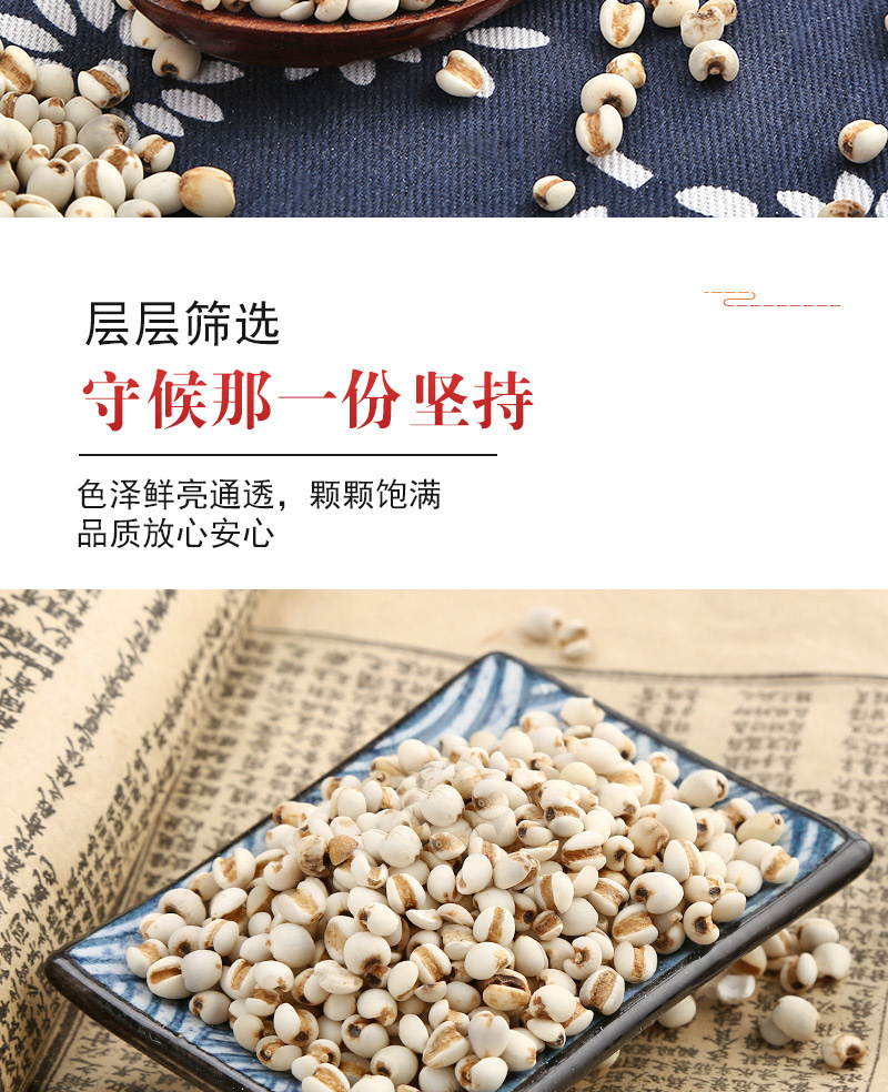 Coix Seed (Coix lacryma-jobi) — Roasted Puffed Yi Mi Ren, 500g Loose Food Herb quality and texture