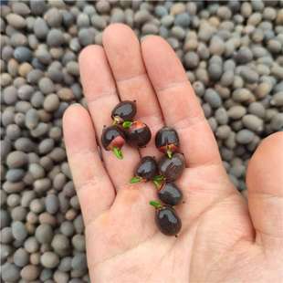 ��.��ɏ�N�� ɏ�Ӵ���С�@ˇ����ˮ����ļ��ɻ��Ȍ��ɻ�Է