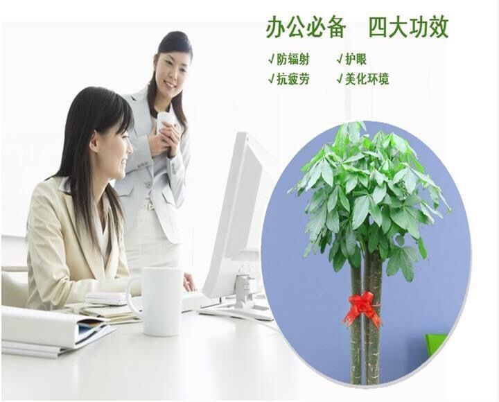 04f738a2-3786-4a5b-adca-e38680b69f9d.jpe