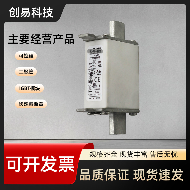 170M1558 170M1559 170M1560 170M1561 170M1562熔断器170M系列。