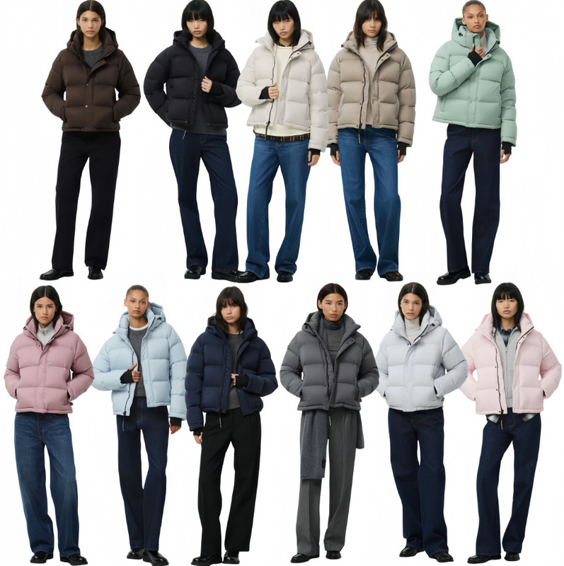 Aritzia four-panel foam matte short thickened warm commuting goose down puffer jacket