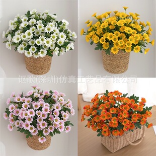 �羳���u��Ʒ�|���컨��ɫ�r�հ����Ҿ��bz���ٻ����滨