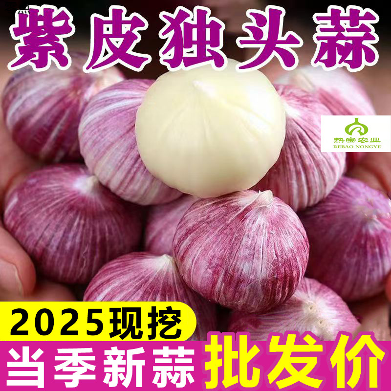 2025年独头蒜紫皮红皮新鲜大蒜头批发农家独蒜现挖湿蒜新蒜