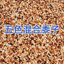 ����B�Z�Bʳ�B���W�^��ϻ�Ƥ���Pĵ����ɫ����ʳ�����250g����
