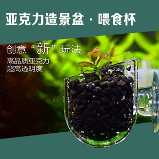 Acrylic Transparant Red Worm Cup Water Grass Planting Cup In-cylinder Landscape Basin Red Worm Nematode Feeding Ring Cup