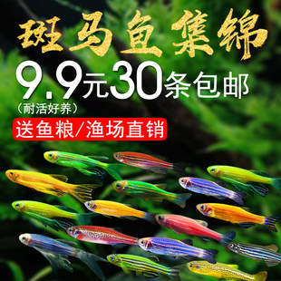 �Ꭷ�^�p�~�t�{���R�~С�ͽ��~���^�p�~������Ʒ��ȸ�t�G���ƻ��w