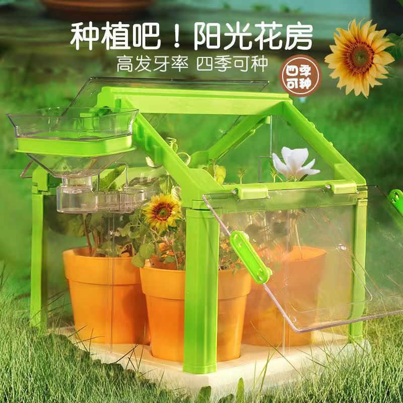 Una mini plantación de sol casa jardín botánico granja plantación de flores ecológica lección de biología científica juguete experimental