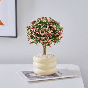 Golden Branches, Jade Leaves, Lollipops, Big Old Pile Succulents, Yaler Dance, Radiation Protection, Formaldehyde Absorption, Living Room Green Plants and Florals