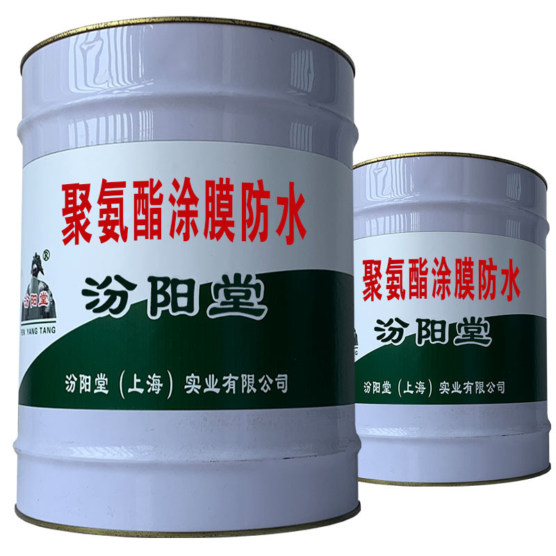 聚氨酯涂膜防水，质量产品成熟，价格优惠。聚氨酯涂膜防水