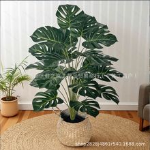 �����ֲ������S��������Ҿӿ͏d���Ԕ[���Ƶ걱�W�L����Gֲ