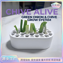 �羳��Ʒ Scallion regeneration containerС�[���������߲˷Nֲ