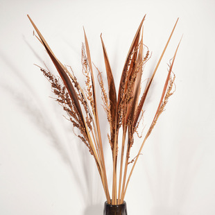 [Seeded Cocoa Leaf] Small Cocoa Leaf Flower Dried Shell Dried Fruit Shooting Props Home Soft Decoration Dried Flower Material