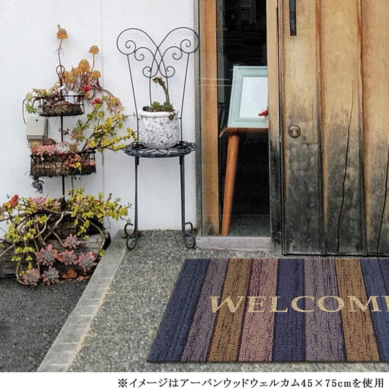 Amazon Same Style Silk Ring Door Mat Indoor and Outdoor Dirt-Resistant Dust Removal Mat Floor Mat for Entrance Full Thickened Mat for Entrance