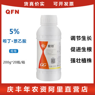 ������� 5%�Ŷ������� ���������L�{�����ٰl횸����������l��