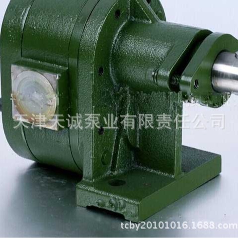 锥齿轮泵TCZ/斜齿泵/不锈钢泵/高压泵/喷射泵/铜齿泵/钢轮泵
