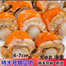 �o���´�̖��ؐ�� ���Sȥ���F�����r���rҰ���r����ؐ���