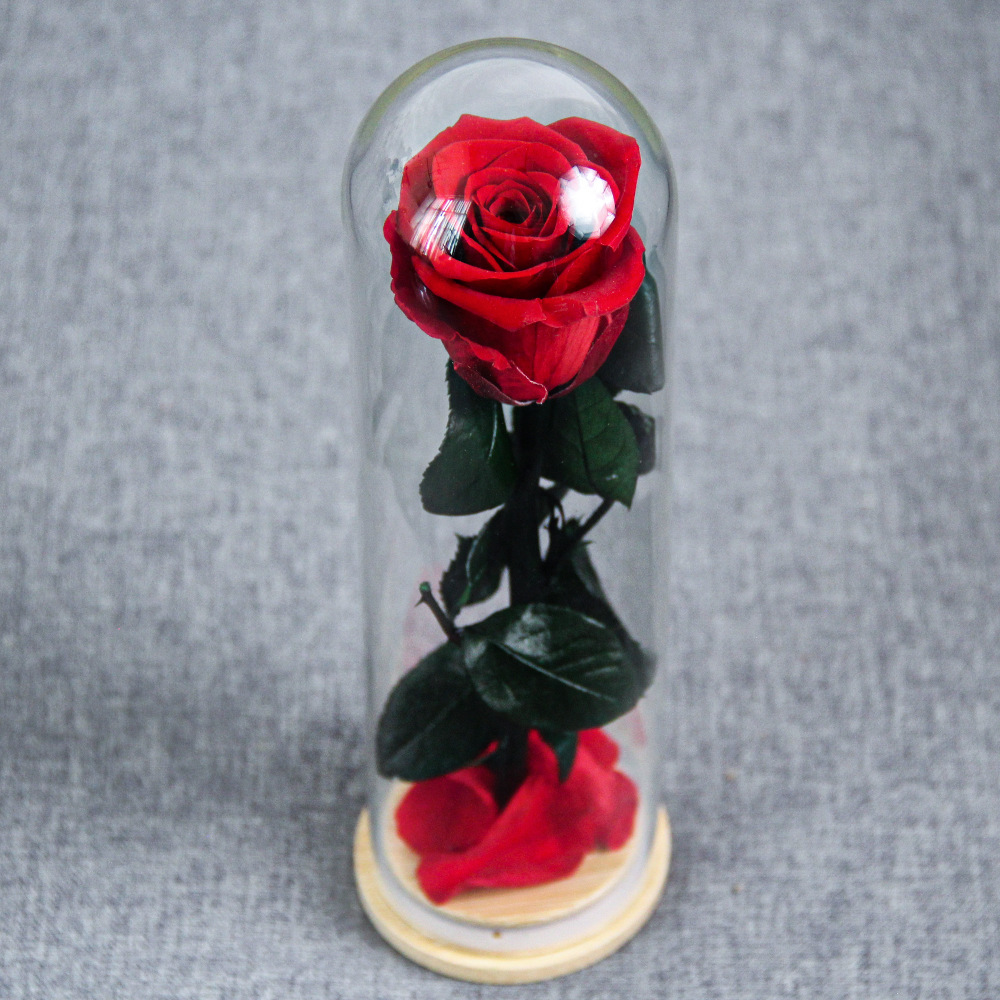 Flor inmortal Little Prince Star Sea Watchman una sola rama de rosa cubierta de vidrio Amazon Día de San Valentín Regalo del Día de la Madre