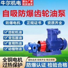 KCB200�������������ͱø�ճ�Ȼ��ͳ��ͱ�380V������Һѹ��ж�ͱ�