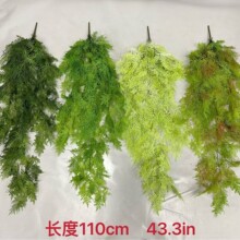 ����Gֲ����ڒ������~�ٗl�Gɫֲ�ﲨ˹ާҾӔ[���Fڡ����