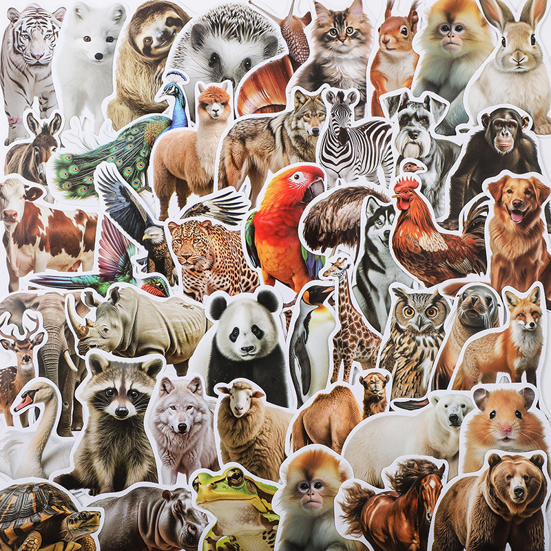 50 Animal World Photo Creative Stickers for Notebooks and Notebooks for Kidsren DIY Decorative Stickers Cross-Border Amazon