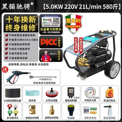 Industrial-grade cleaning machine 800kg Commercial car washer high-power high-pressure water gun for car wash shops, sandblasting and rust removal (Car washing machine) - commercial-gradehigh-efficiency-cleaning220v-high-efficiency-50kw-580kg-21l-10m-for-car-wash-shops-only