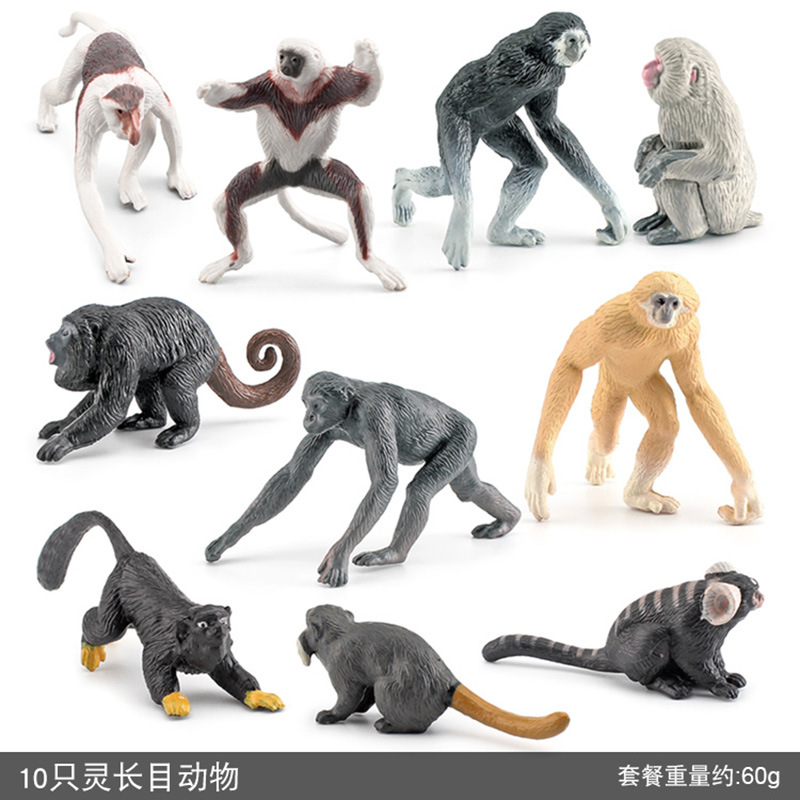 Modelo de primate de simulación transfronteriza Mini mono de nariz larga Gibbon gorila Lemur adornos estáticos traje