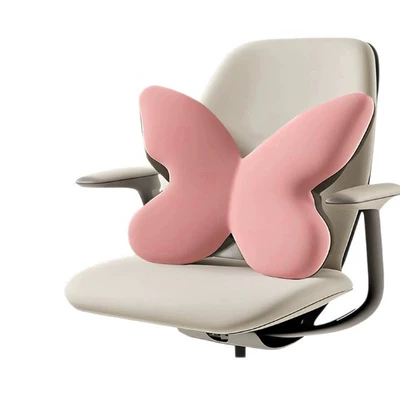 Cushion for Long-Term Driving, Waist support