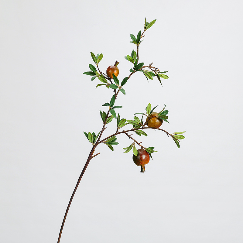 석류 3 가지 빨간색과 녹색