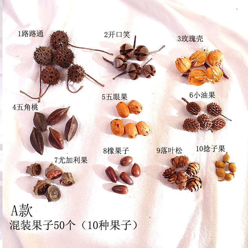 松果果子干装饰手工制作材料千纹果天然幼儿园橡果