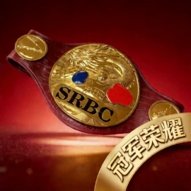 徽章;金属工艺品;奖牌