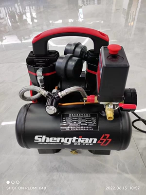 Silent Oil-Free Mini Air Compressor 220V Spray Paint Woodworking Portable High-Pressure Air Pump Small Air Compressor (Hava kompressorları) - 2-1100f3-220v-single-phase-8bar