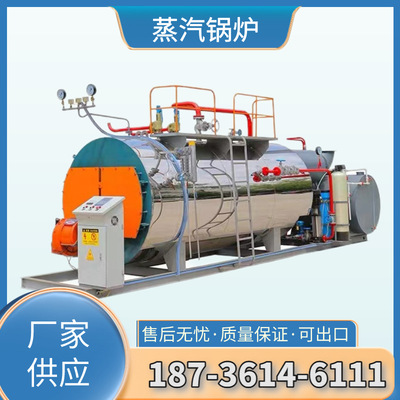 Manufactor supply Fuel Boiler 24 horizontal Gas Fuel steam boiler Industry Use steam boiler