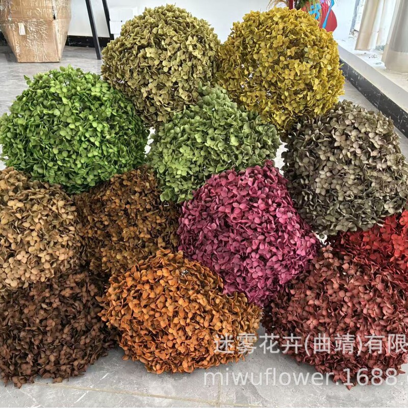 [Eternal Flower Anna Hydrangea] Color-absorbing Hydrangea Leaflet Anna Hydrangea Petal Flower Dried Flower bouquet True Flower Eternal Life