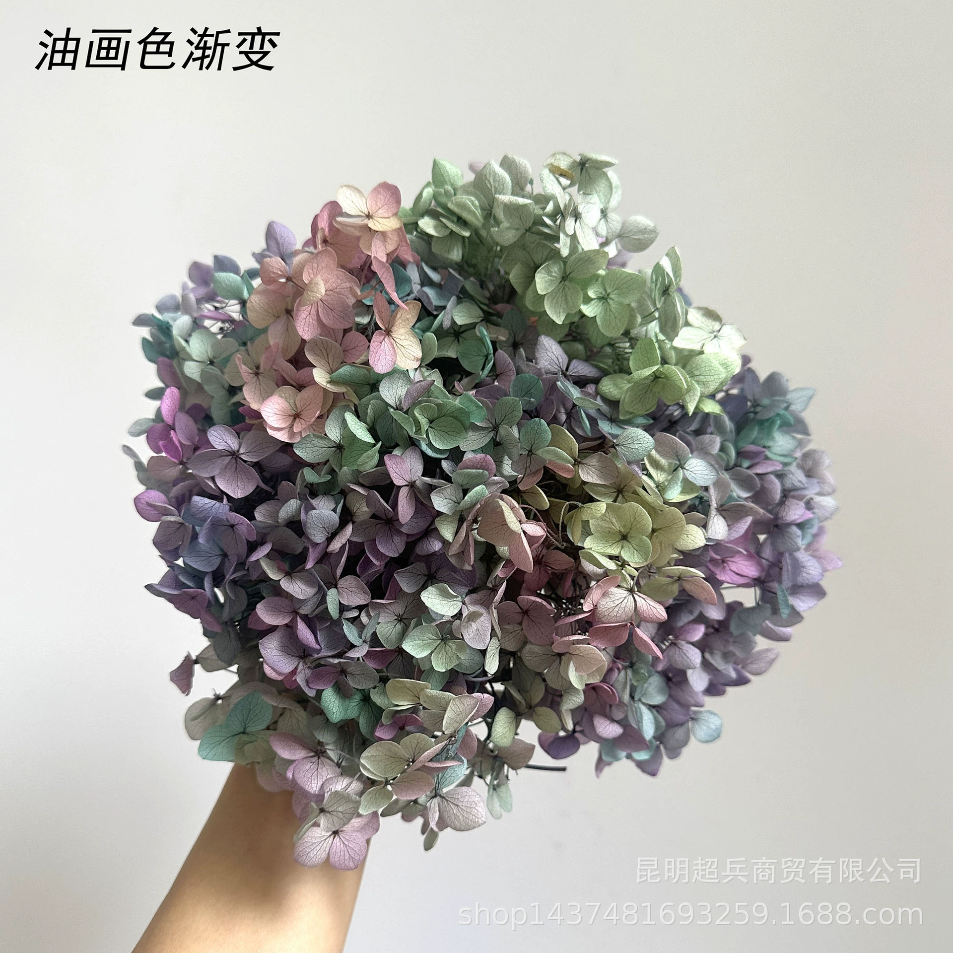 [Вечная Life Flower Hydrangea] Анна Градиентный цвет Лист Hydramid Книга цветов оптом DIY цветочная коробка материал для просмотра