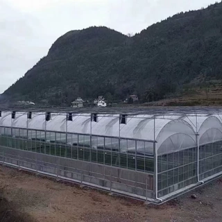 连栋薄膜温室工程 春秋通用大棚 蔬菜钢架加工与承建